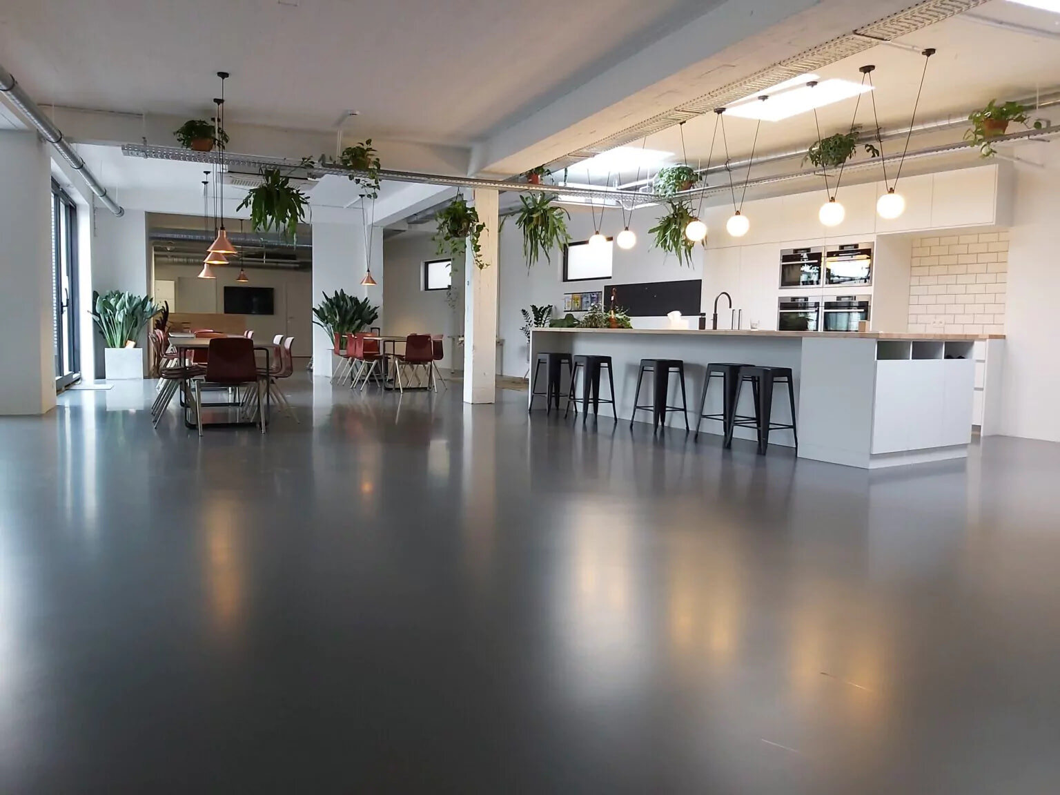 Gallery 26