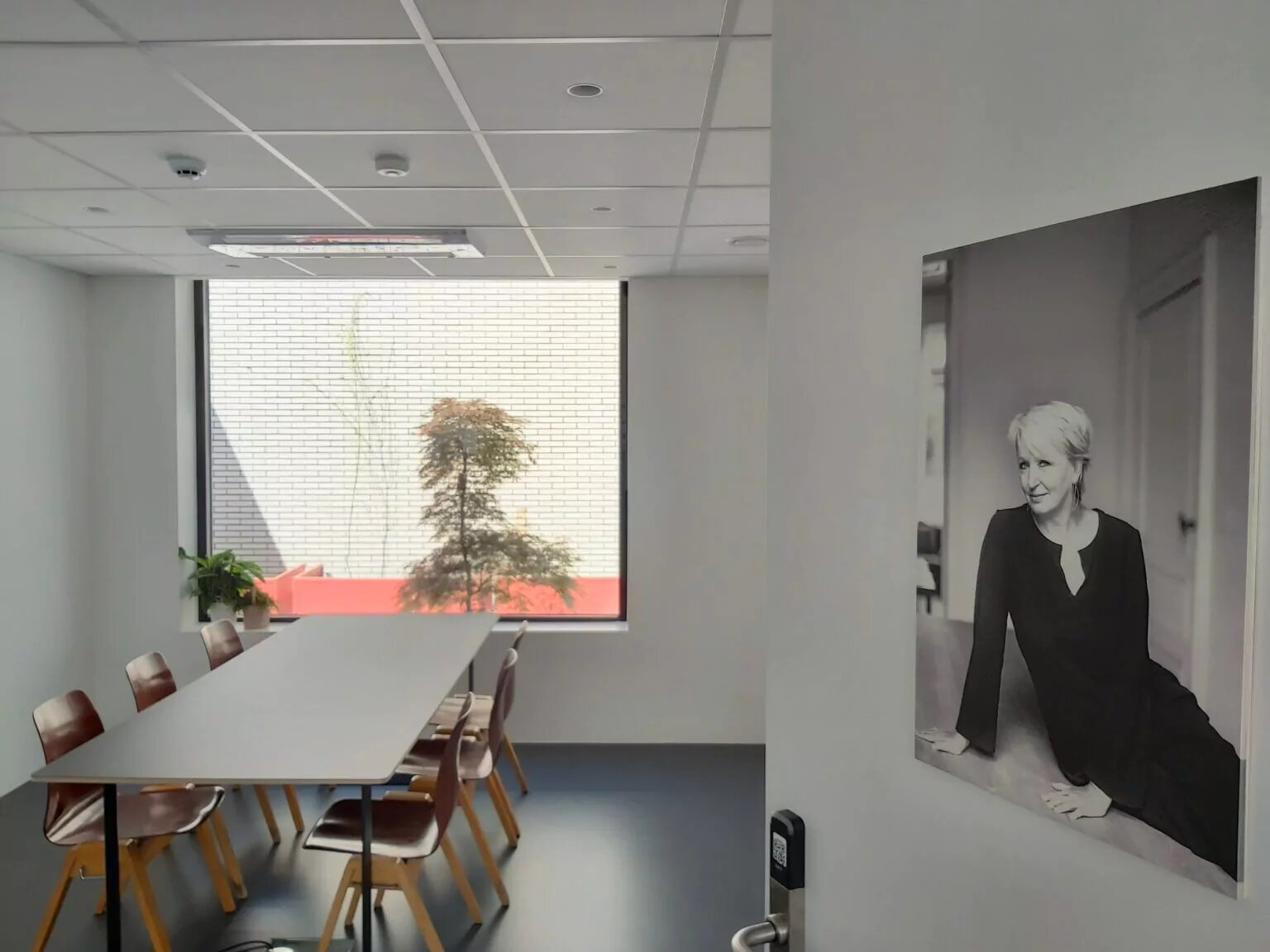 Gallery 7